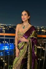 Sophie Choudry in Jahan-e-ishq Saree - Image 4