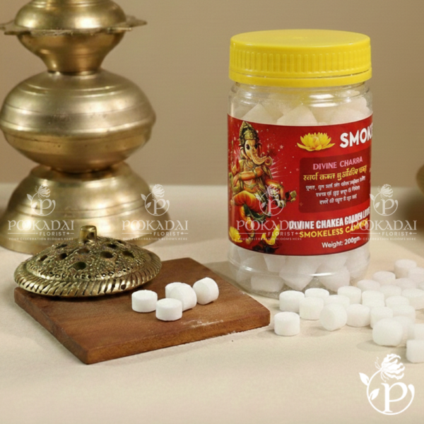 Divine Chakra - Smokeless Camphor - 200grms