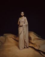 Seraphic Sheen Saree