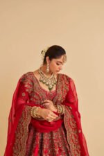 Mahanoor - Dabka Zardozi Embroidered Pure Silk Red Bridal Lehenga Set - Image 7