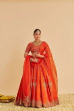 Naazila - Dabka Zardozi Embroidered Raw Silk Burnt Orange Lehenga Set - Image 6
