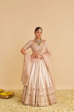 Farah - Dabka Zardozi Embroidered Pure Silk Daisy Ivory Lehenga Set - Image 5
