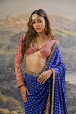 Neelpari Dabka Silk Saree Set - Image 2