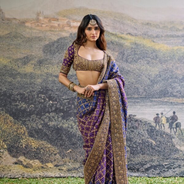 Advay Ombré Saree Set