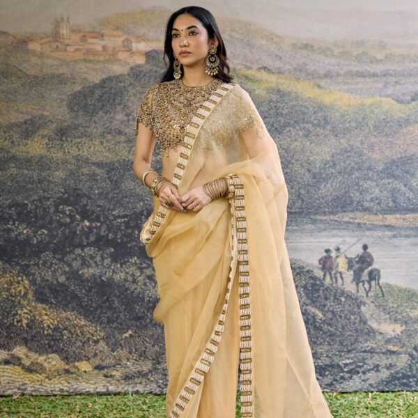Kahani Jadau Organza Saree Set