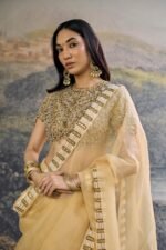Kahani Jadau Organza Saree Set - Image 2