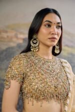 Kahani Jadau Organza Saree Set - Image 4