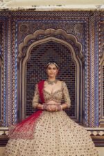 Gold Tissue Lehenga Choli Set with Red Dupatta - Image 4