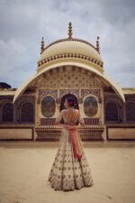 Gold Tissue Lehenga Choli with a Peach Tissue Dupatta - Image 3