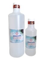 Health Brand - Ganga Jal 200ml / 600ml / 1000ml - Image 2