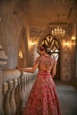 Swans of Siam Lehenga Set - Image 3