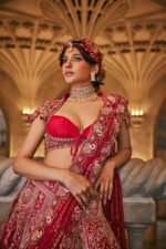 Swans of Siam Lehenga Set - Image 5