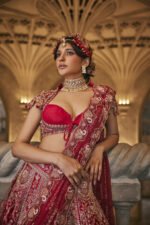 Swans of Siam Lehenga Set - Image 2