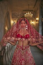 Swans of Siam Lehenga Set - Image 4